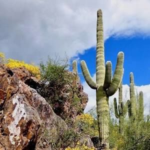 Meet your Posher, Teresa